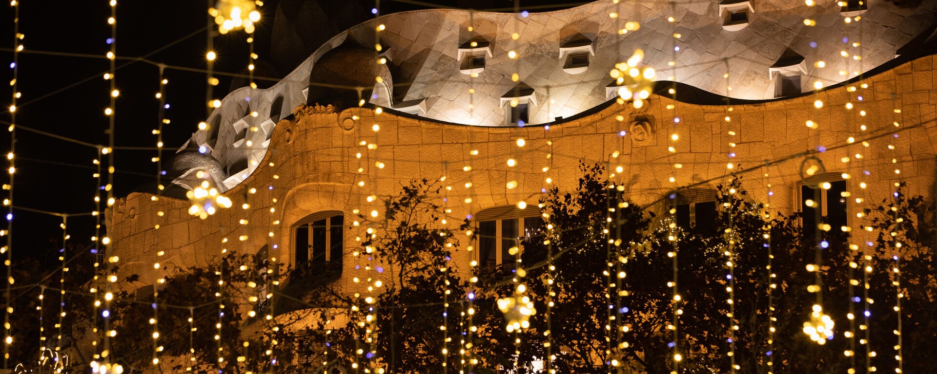 Festive Season