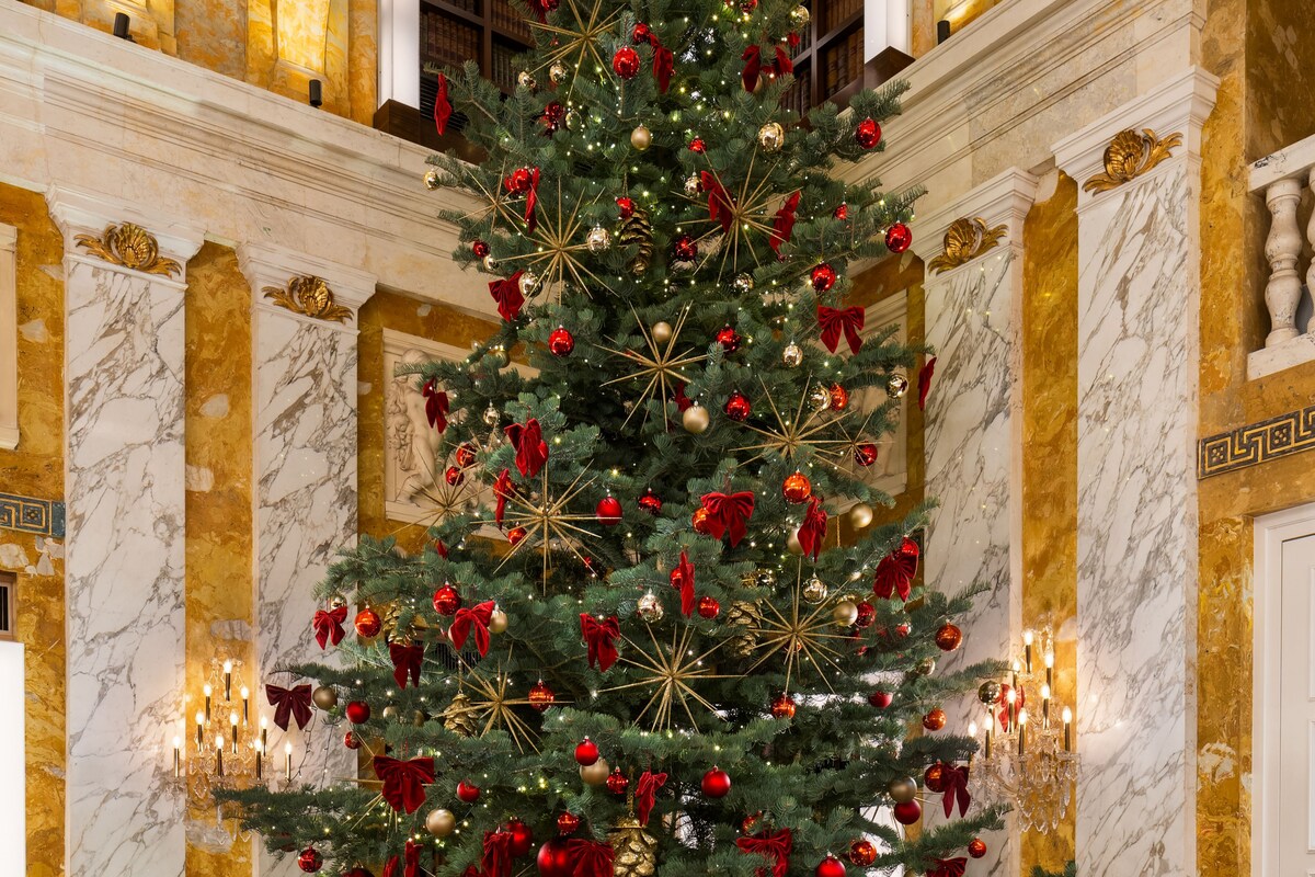 Christmas, Tree, Bar