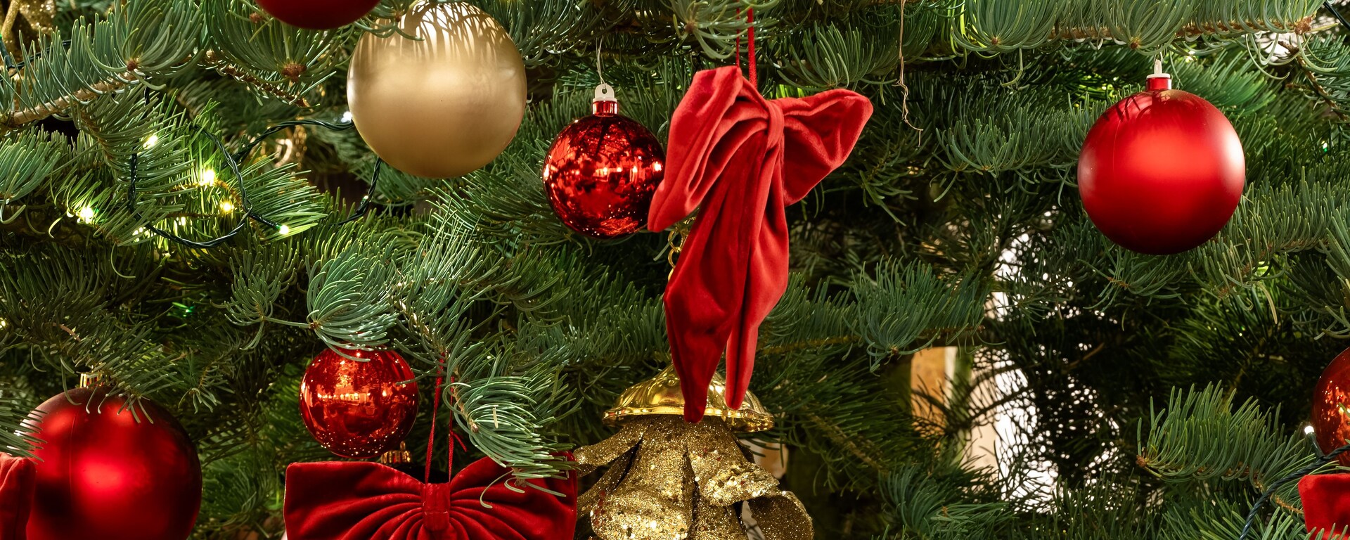 Weihnachten, Baum, Bar