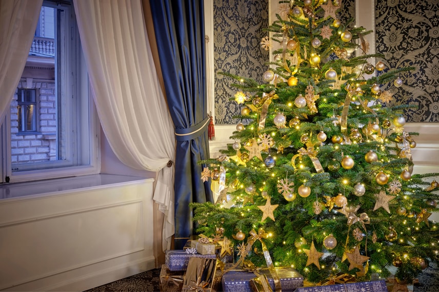 Christmas Tree Set Up