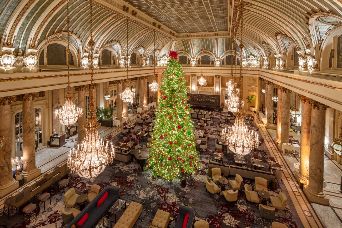 Evening tree shot from French Parlor