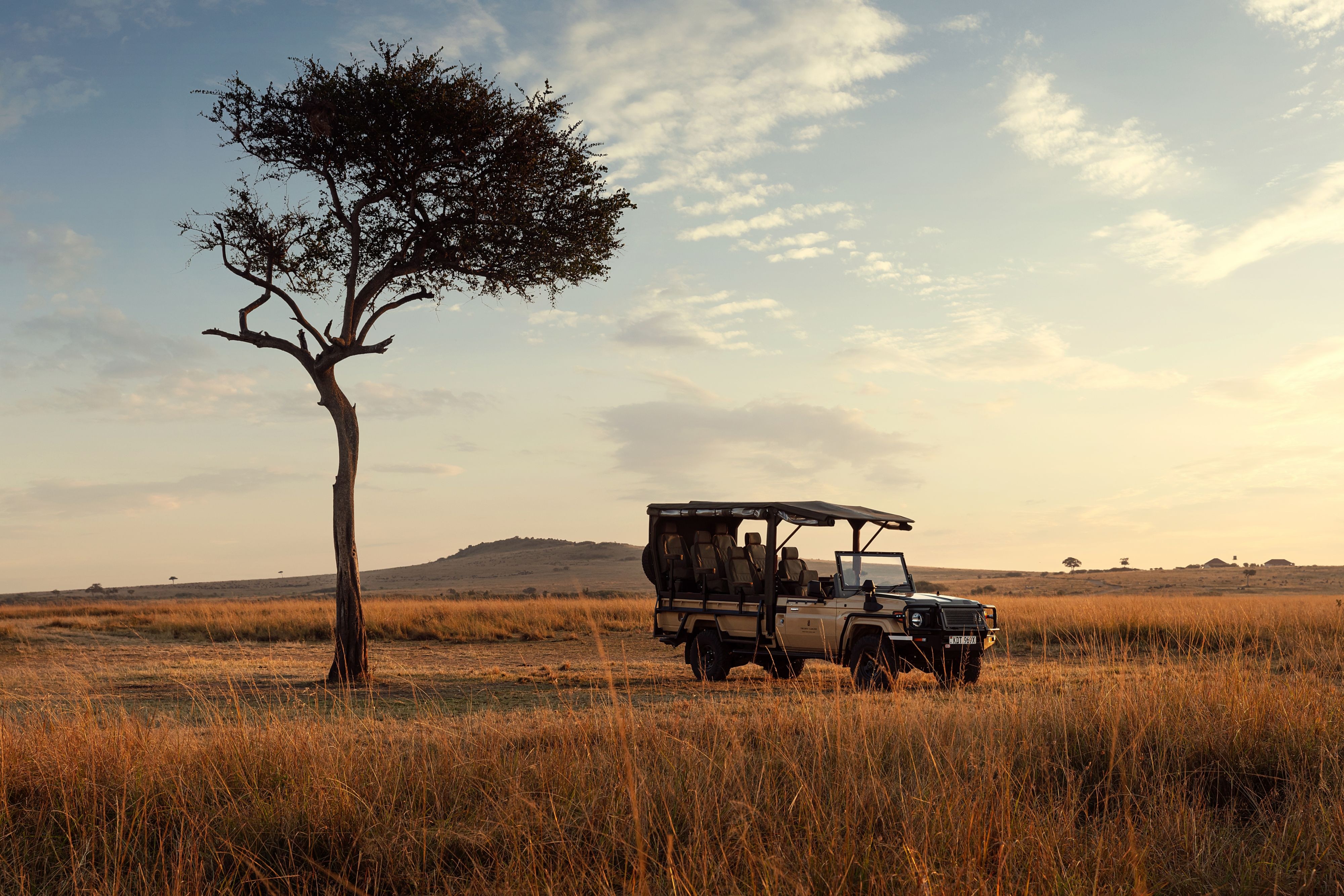 Elevated safari vehicle under an acacia tree