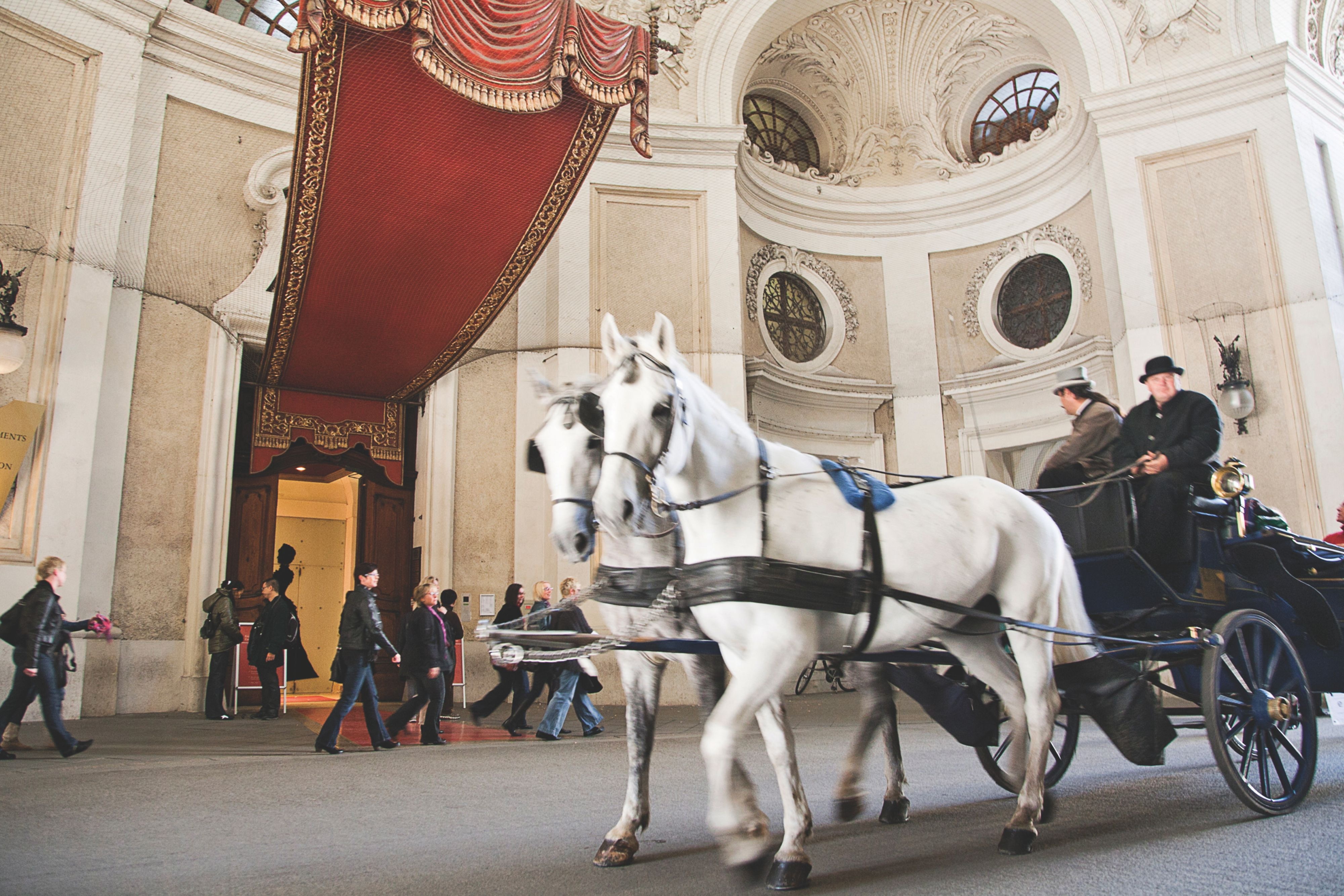 Horse drawn carriage rides along a city street in Vienna