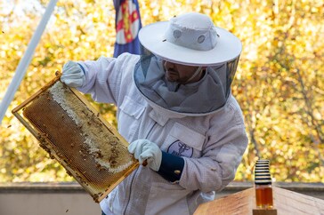 Man holding bee hive