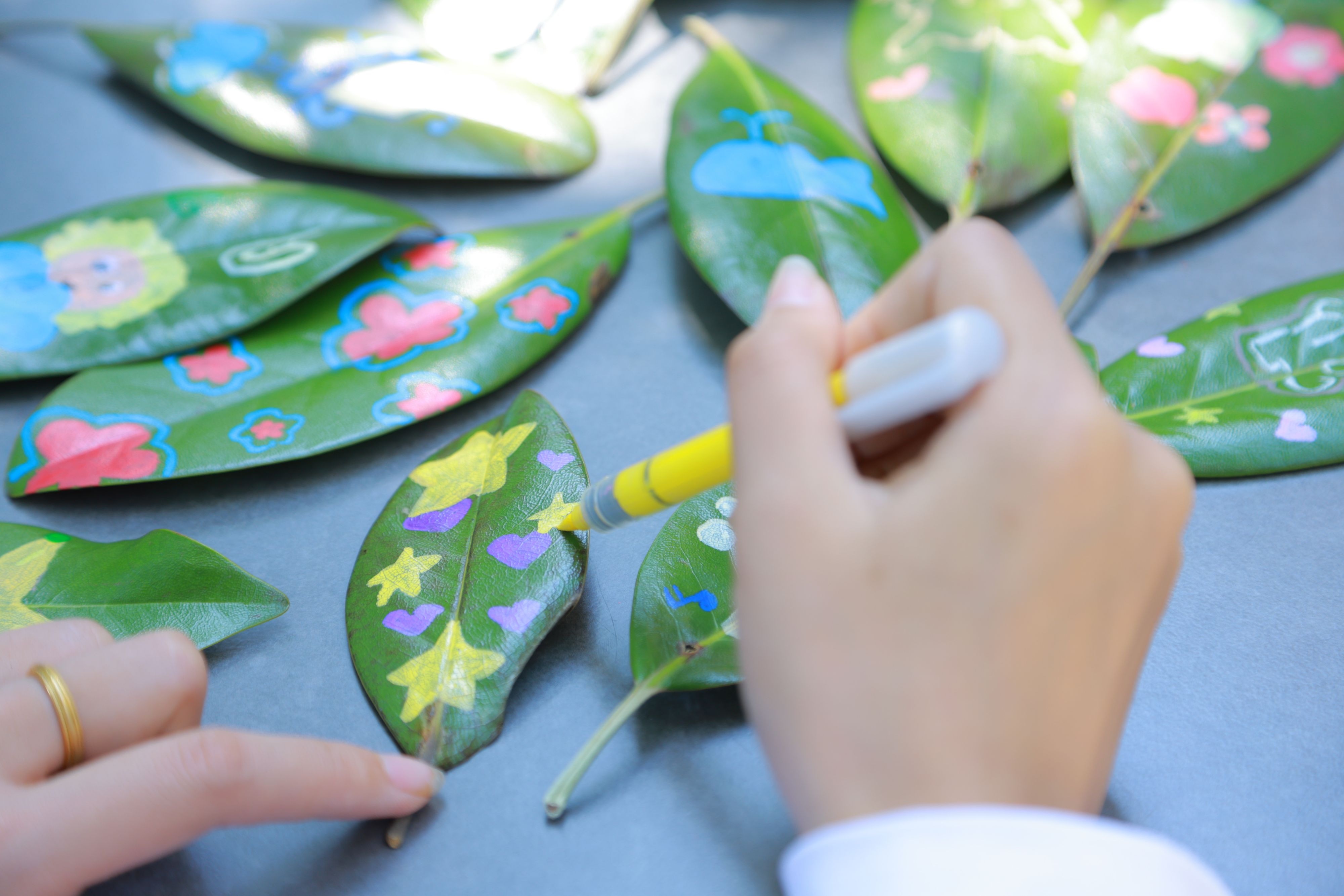Art Gathering in Wetlands