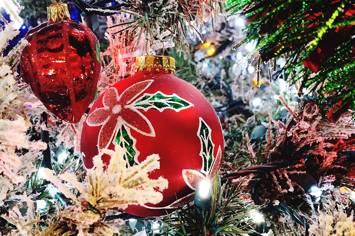 Close-Up Of Christmas Tree